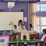 Saandeepani English School School Exhibition